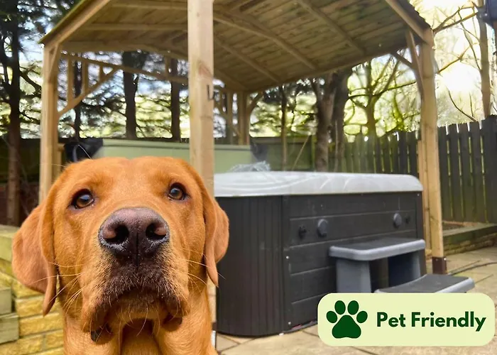 Hébergement de vacances Hot Tub - Pool Table, York